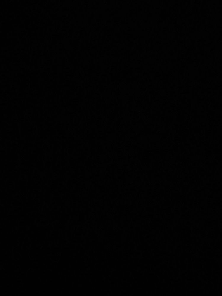 Testing & DeploymentQuality Assurance