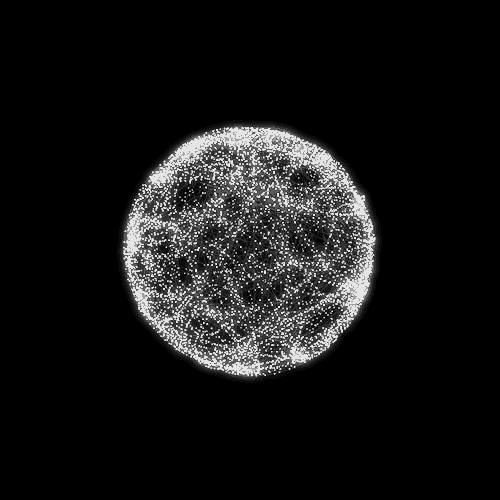 Analysis & PlanningRequirements Gathering